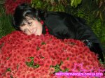 ���� svetlovodsk.com.ua 2010