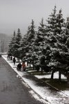 Зима прийшла у Світловодськ