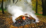 Спалювання опалого листя заборонене законом!