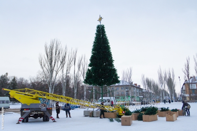 В Светловодске установлен главный атрибут новогоднего праздника!