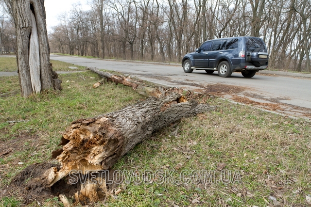 Штормовий вітер з півночі повалив дерева і білборди у Світловодську