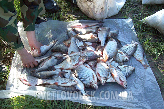 У Великій Андрусівці Світловодського району затримали двох чоловіків з 292 кг риби