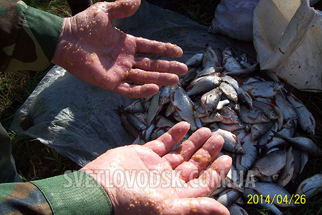 У Великій Андрусівці Світловодського району затримали двох чоловіків з 292 кг риби