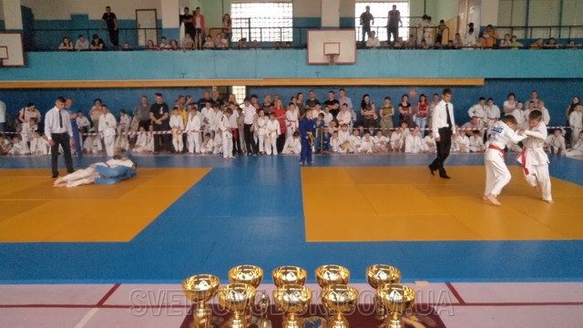 227 дзютоїстів виборювали звання чемпіона у Світловодську