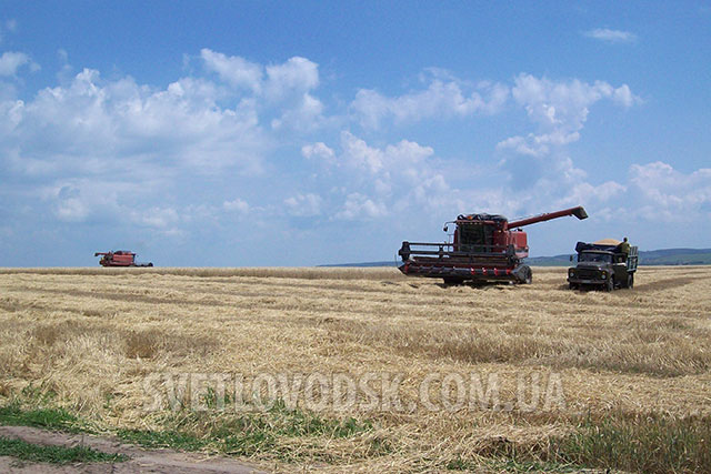 Зі святом вас, хлібороби, з першим хлібом!