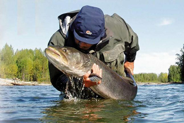 «Кіровоградрибоохорона» забороняє лов риби з 1 квітня