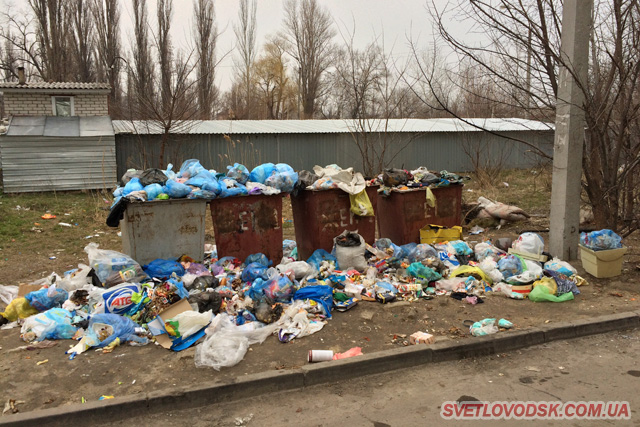 Фотофакт: Вулиця Конька у Світловодську потерпає від сміття (ОНОВЛЕНО)