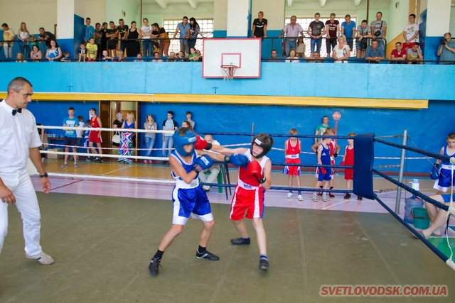 Відкритий турнір з боксу відбувся у Світловодську