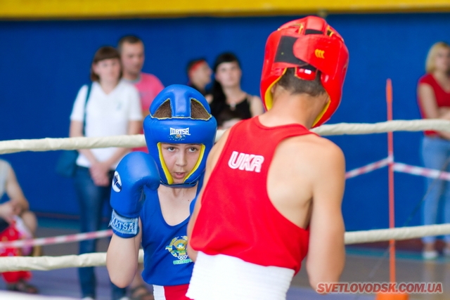 Відкритий турнір з боксу відбувся у Світловодську