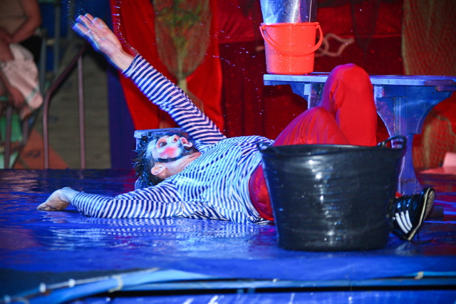АФІША: Цирк на воді "Рів'єра" з програмою "Острів скарбів"