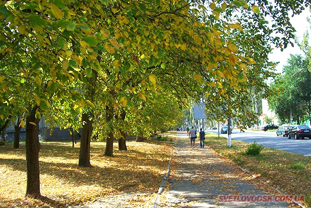 Листья желтые над городом кружатся