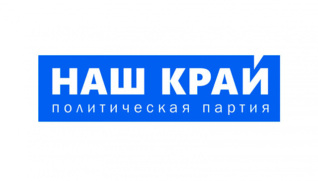 Лідером виборчих перегонів у Світловодському районі стала партія «Наш край»