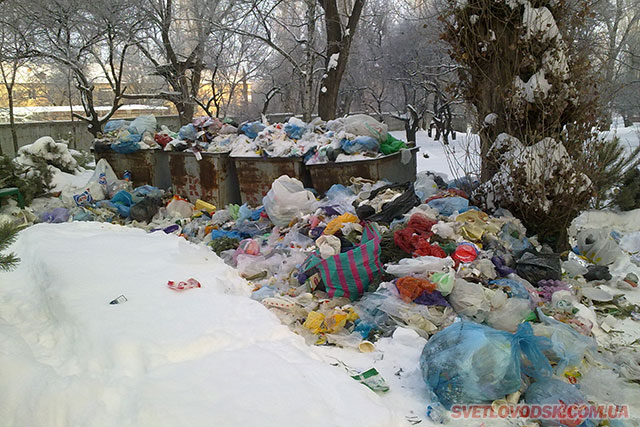 ФОТОФАКТ: Для мэра города: В этом году ещё не вывозили мусор ни разу!