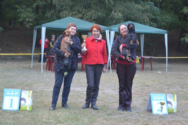 Всеукраїнська виставка собак відбулася у Світловодську – переміг Чорний тер’єр з Полтави