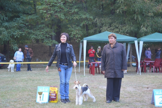 Всеукраїнська виставка собак відбулася у Світловодську – переміг Чорний тер’єр з Полтави