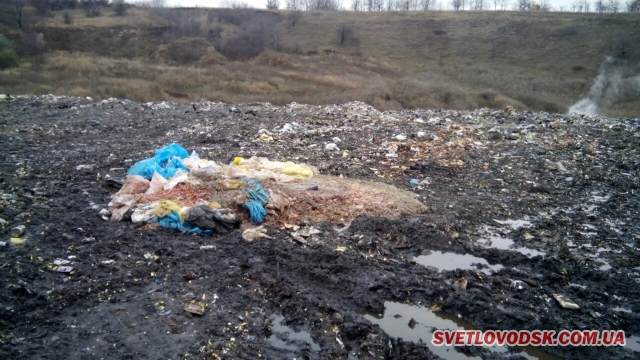 «…А воно (місто) нам таку свиню підкидує, точніше, кишки свинячі…»