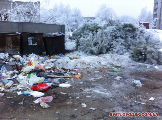 ФОТОФАКТ: Купа сміття на тлі зимової казки