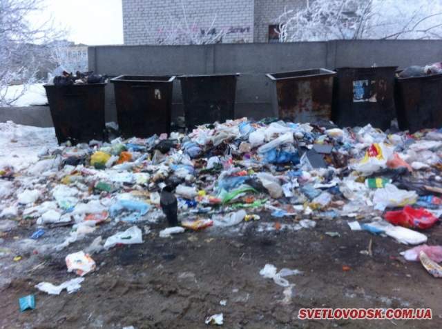 ФОТОФАКТ: Купа сміття на тлі зимової казки