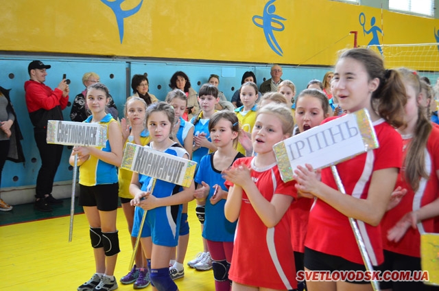 У Світловодську відбувся Відкритий турнір з волейболу