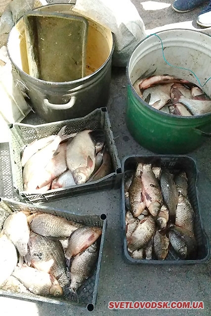 На Кіровоградщині поліцейські вилучили у браконьєра незаконний улов на понад 11 тисяч гривень
