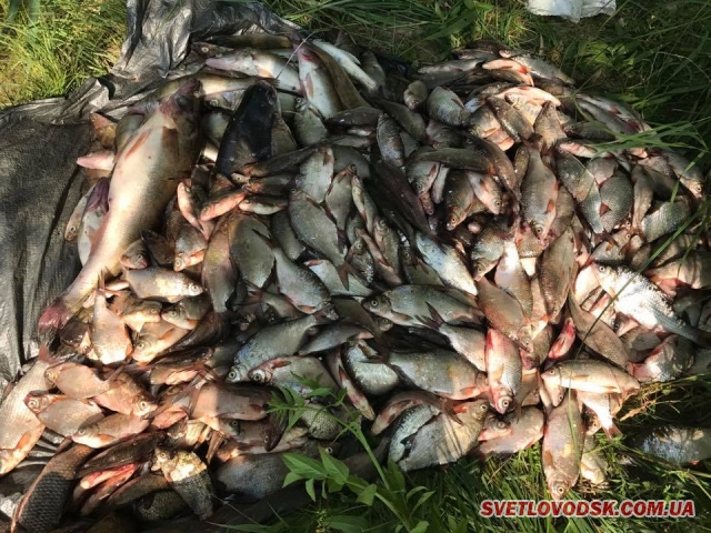 У забороненій зоні Кременчуцької ГЕС затримано рибалок з десятками сіток