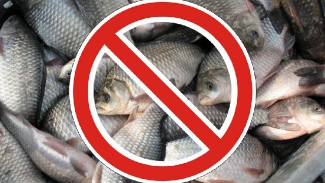 Увага, нерест –  промислове, любительське і спортивне рибальство заборонено!
