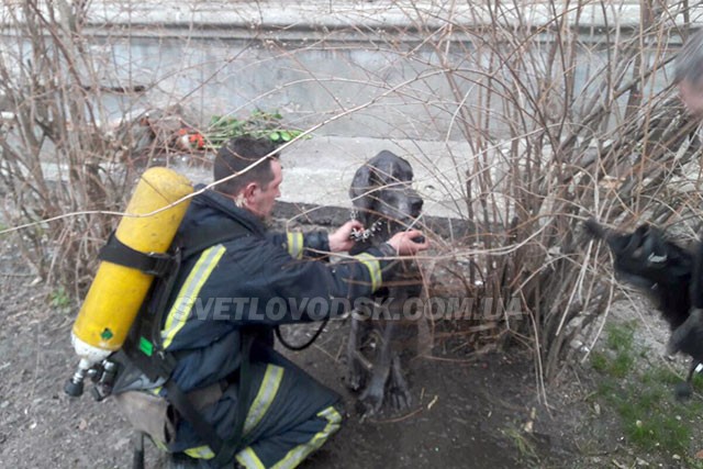 Пожежа на вулиці Приморській у Світловодську — жертв немає