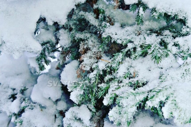 ФОТОФАКТ: У Світловодську випав перший сніг (ОНОВЛЮЄТЬСЯ)