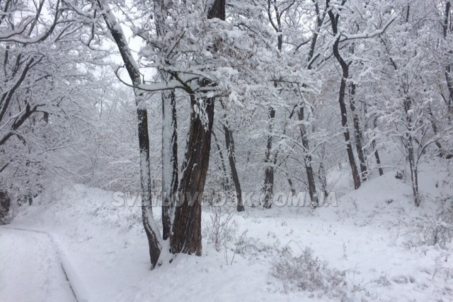 ФОТОФАКТ: У Світловодську випав перший сніг (ОНОВЛЮЄТЬСЯ)