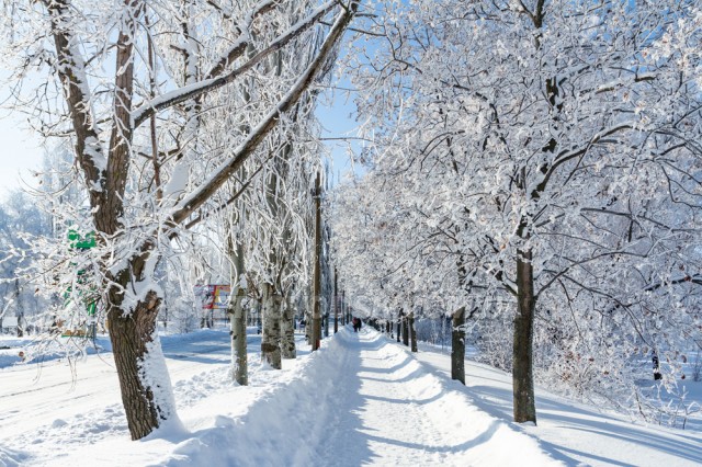 ФОТОФАКТ: Зимова казка у Світловодську