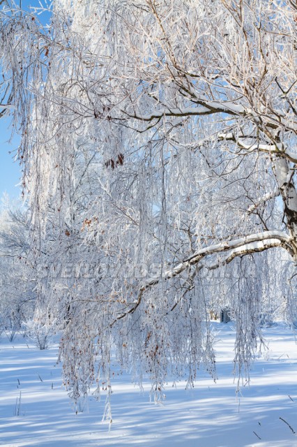 ФОТОФАКТ: Зимова казка у Світловодську
