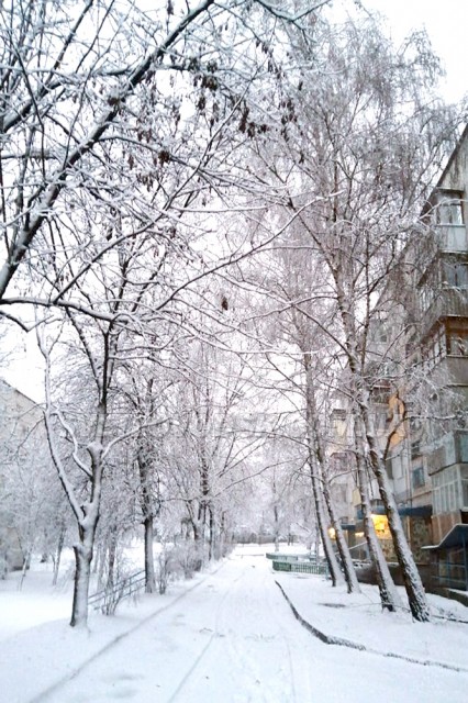 ФОТОФАКТ: Зимовий ранок у Світловодську