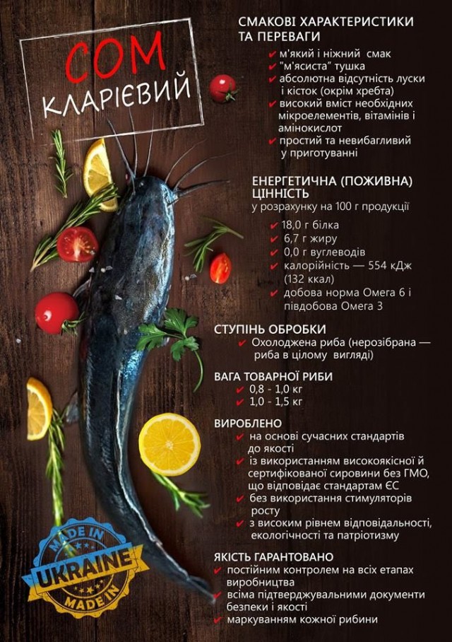 Ексклюзивна пропозиція для мешканців Світловодська — живий мармуровий сом від виробника!