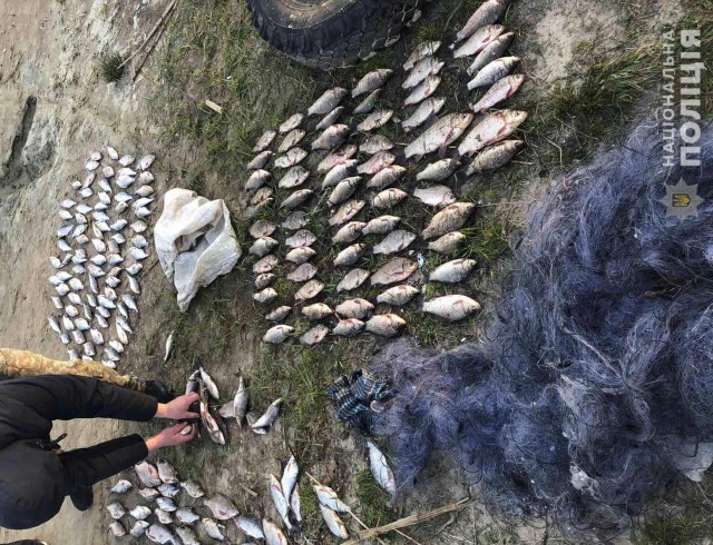 У Світловодську правоохоронці вилучили у двох осіб понад пів тисячі штук незаконно виловленої риби