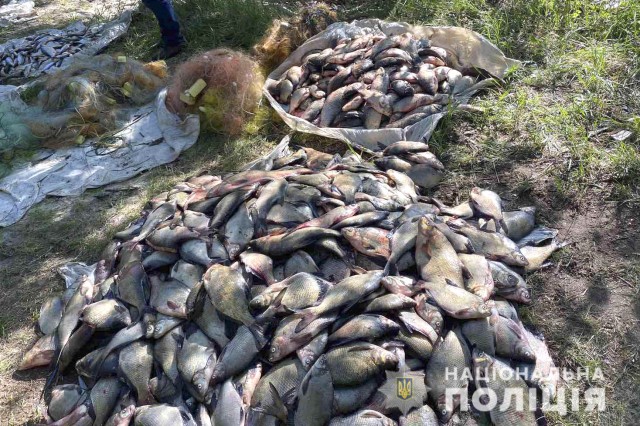 У Світловодську поліцейські вилучили у браконьєрів риби на понад 200 тисяч гривень