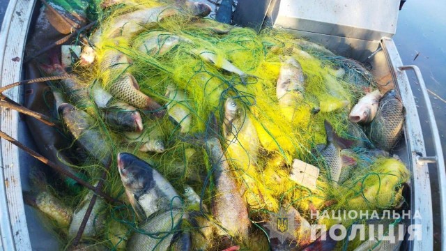 У Світловодську вилучили більш ніж півтони незаконно виловленої риби