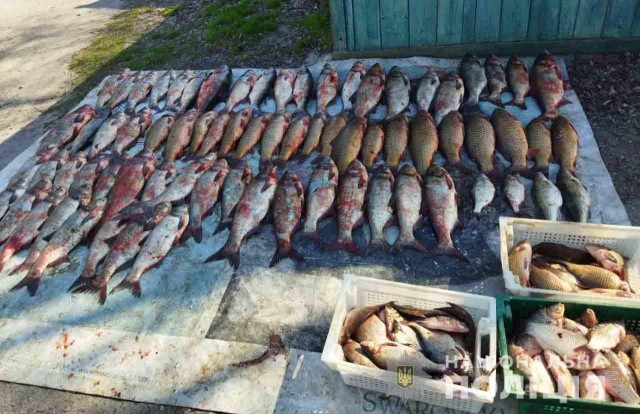 У Світловодську вилучили більш ніж півтони незаконно виловленої риби