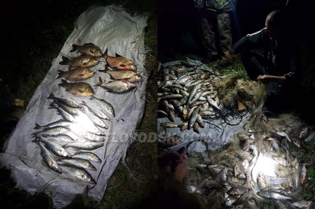 У Світловодську рибалка наніс збитки рибному господарству України на суму близько 40 тисяч гривень
