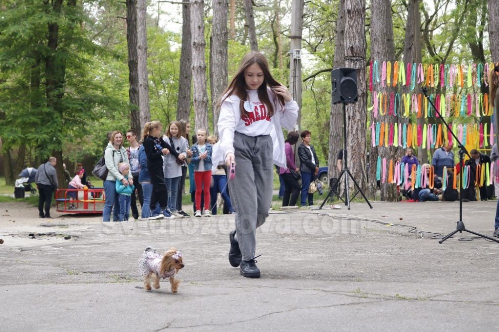 Парк культури у День міста: презентації, виставки, конкурси і «Оксамитові зустрічі»