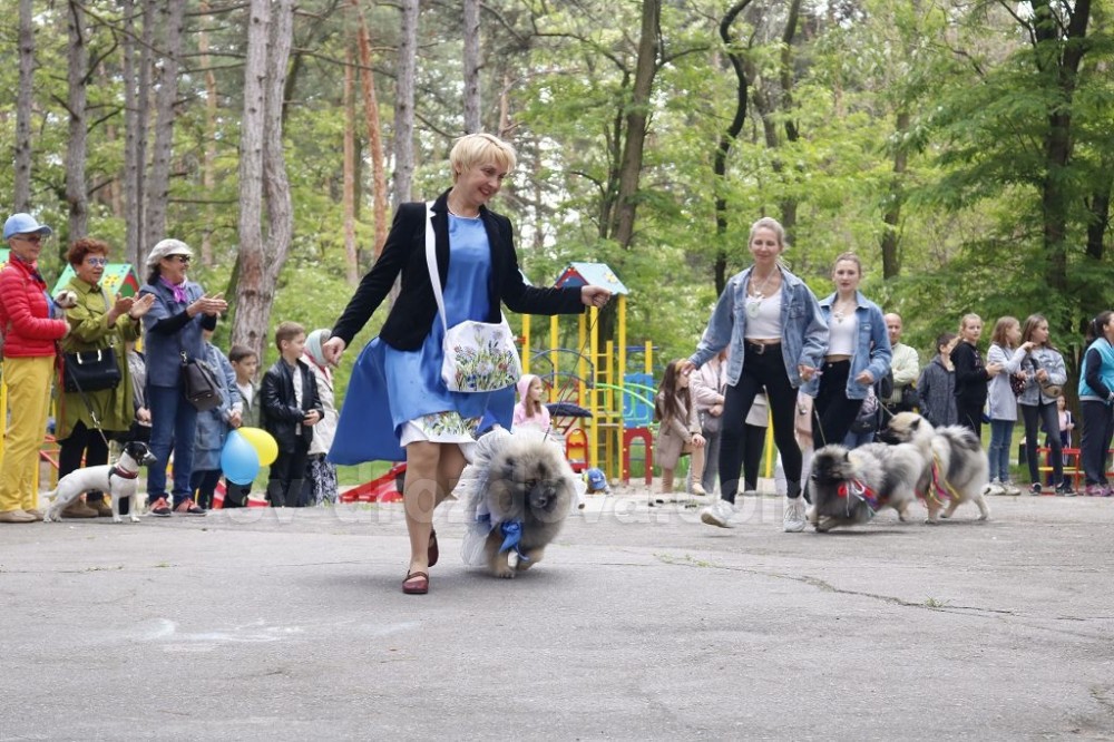 Парк культури у День міста: презентації, виставки, конкурси і «Оксамитові зустрічі»