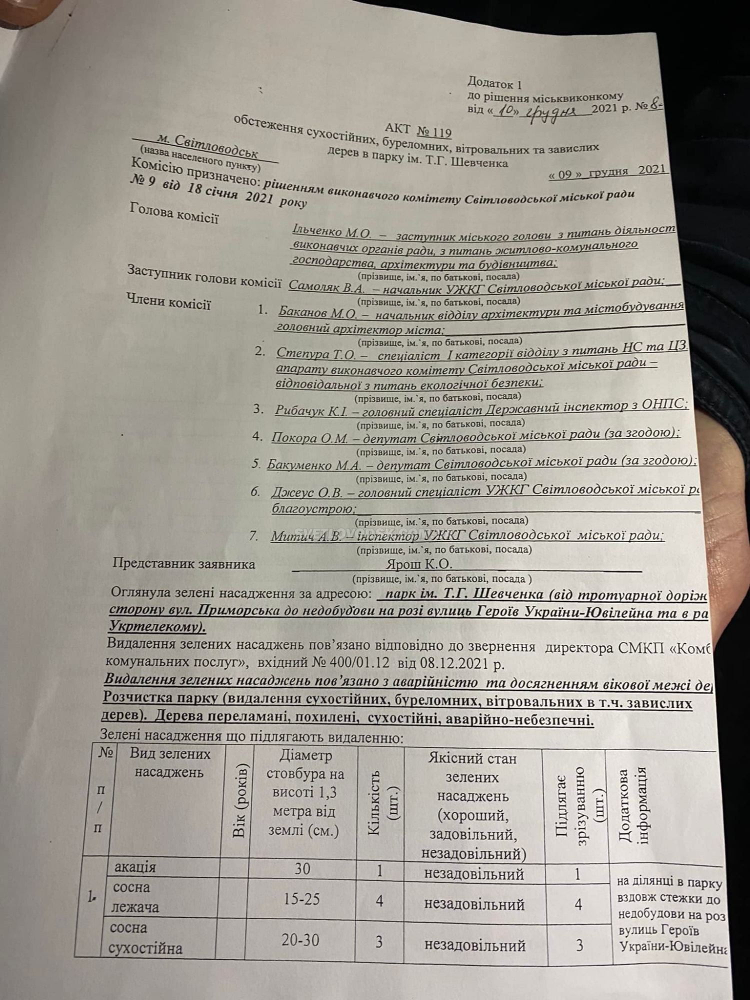 Хто та навіщо вирубує дерева у міському парку? (ФОТО, ВІДЕО)