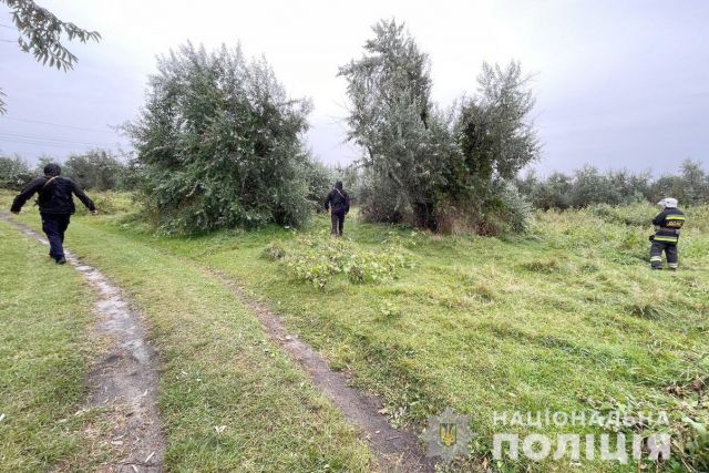 У лісі біля Світловодська загубилася 71-річна жінка
