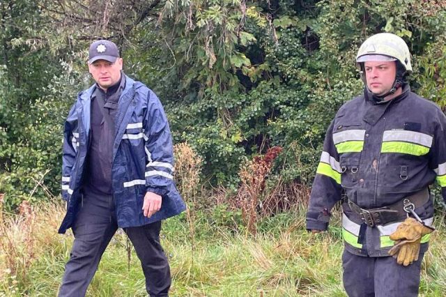 У лісі біля Світловодська загубилася 71-річна жінка