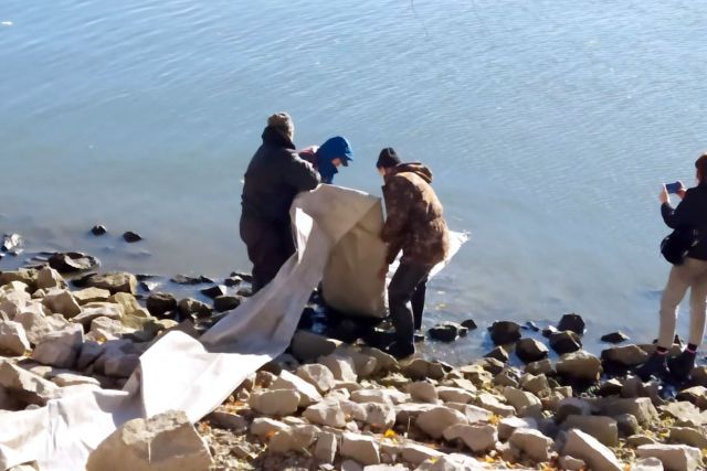 Кременчуцьке водосховище поповнилося 2,6 тоннами зарибку