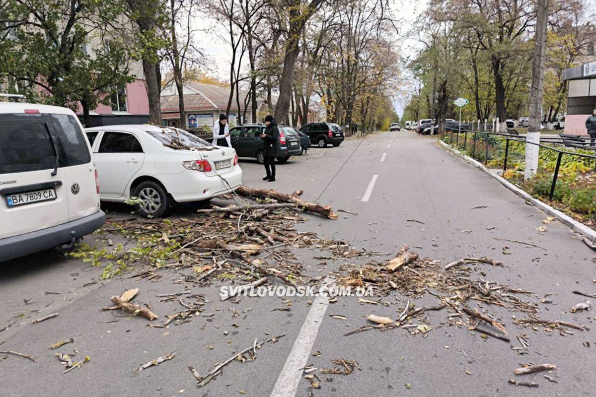 Шквальний вітер у Світловодську: велика гілка впала на авто адвокатки