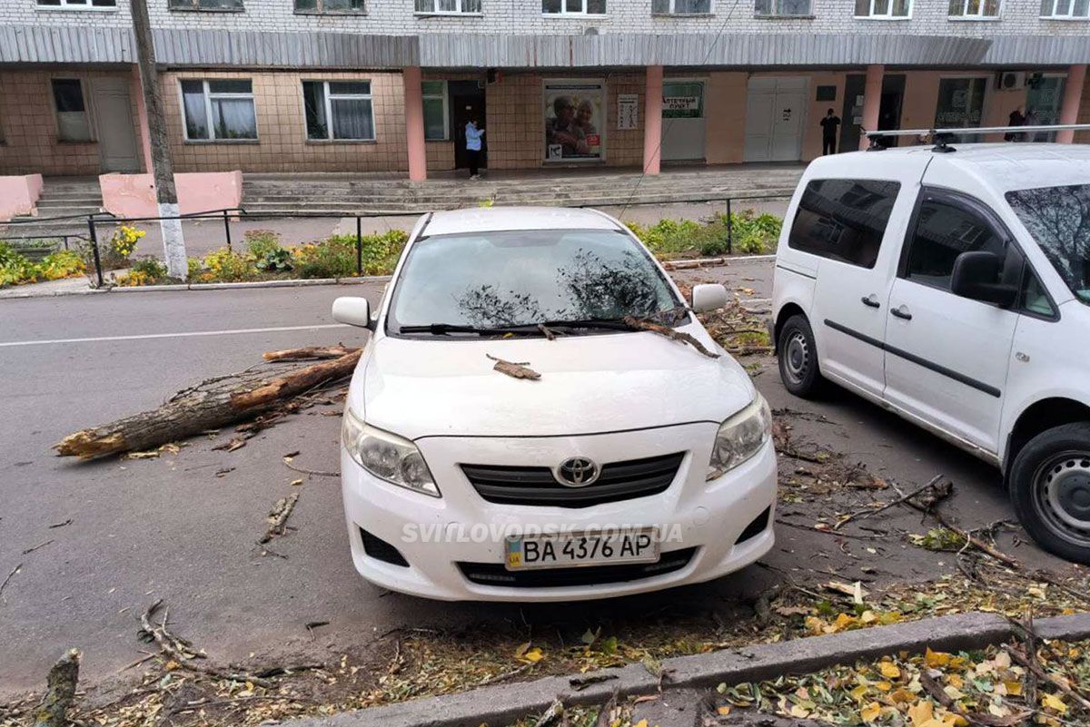 Шквальний вітер у Світловодську: велика гілка впала на авто адвокатки