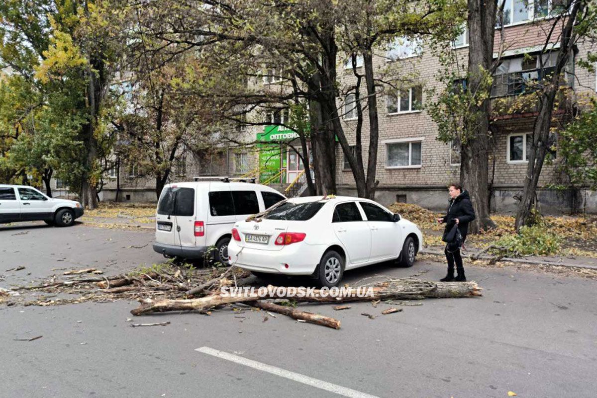 Шквальний вітер у Світловодську: велика гілка впала на авто адвокатки