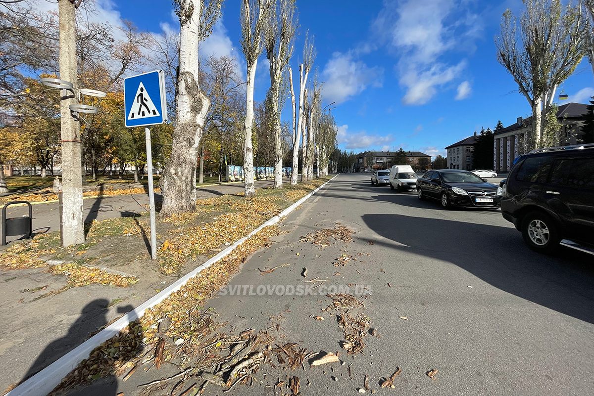 Шквальний вітер у Світловодську: велика гілка впала на авто адвокатки