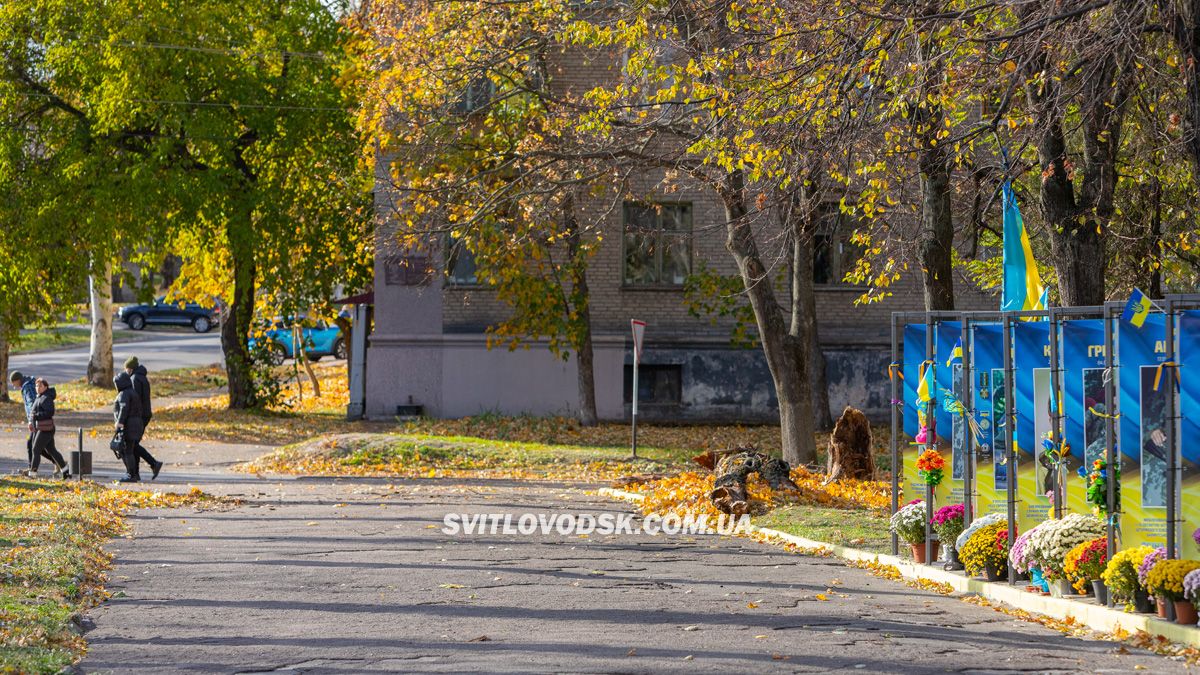 Шквальний вітер у Світловодську: велика гілка впала на авто адвокатки