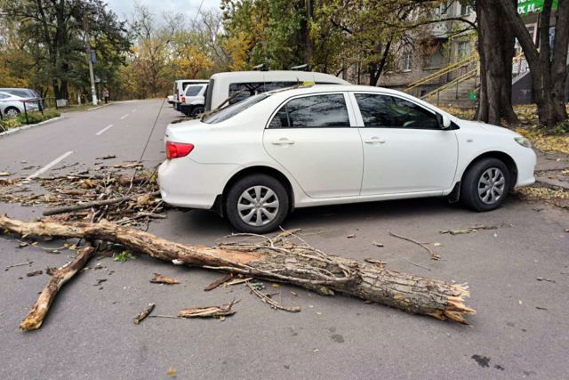 Шквальний вітер у Світловодську: велика гілка впала на авто адвокатки